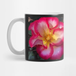 Red and Yellow Rose Mug